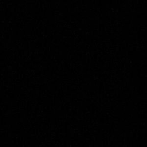 Meet your Posher, Freddy